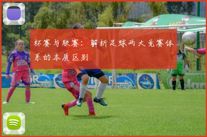 杯赛与联赛：解析足球两大竞赛体系的本质区别
